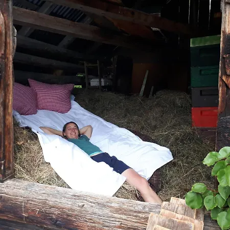 Apartment Schmiedhof *