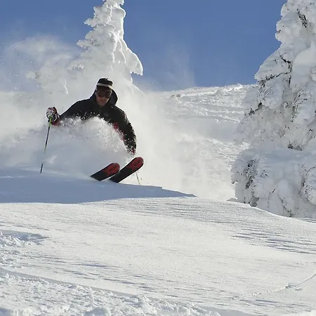 Apartament Schmiedhof *