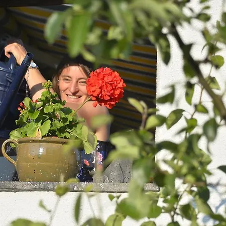 Schmiedhof Apartment