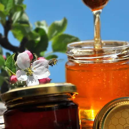 Schmiedhof Seefeld w Tirolu