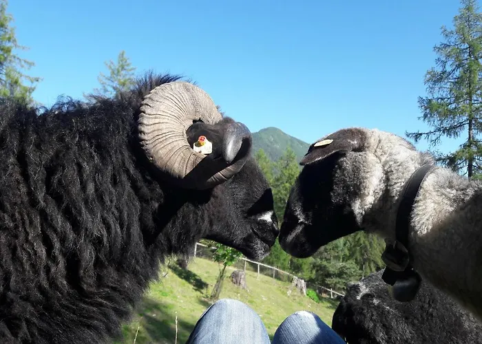 Apartament Schmiedhof *