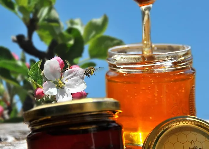 Schmiedhof Seefeld in Tirol