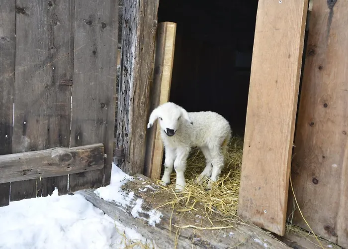 Schmiedhof Appartement Seefeld in Tirol