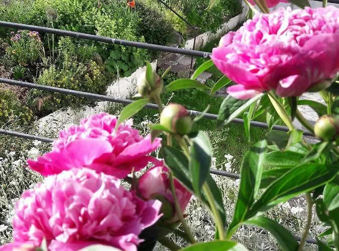 Apartament Schmiedhof *