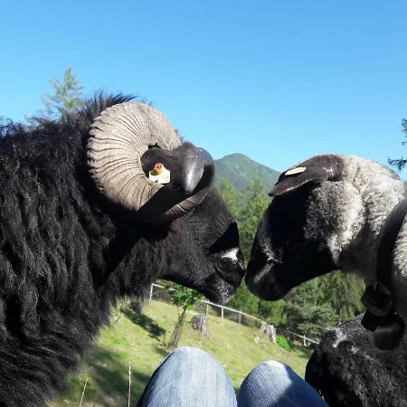 Lägenhet Schmiedhof *