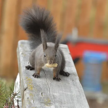 Schmiedhof Lägenhet *