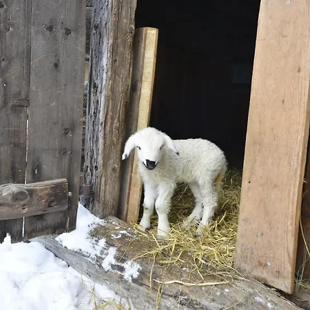 Schmiedhof Lägenhet Seefeld in Tirol