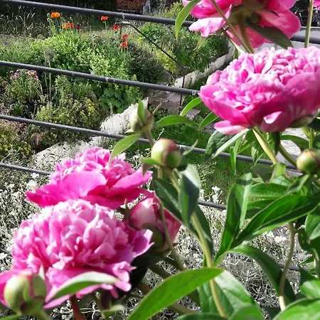 Lägenhet Schmiedhof *