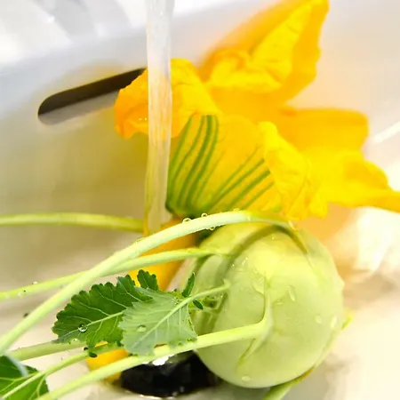 Schmiedhof Lägenhet