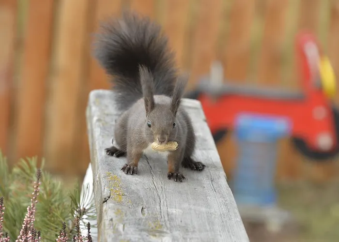 Schmiedhof Apartmán *